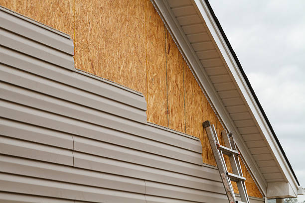 Professional Siding Inspection technician working in Lakeview, OH